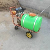 高压小麦喷雾机  40柱塞泵远射程打药机  垃圾站防蚊虫喷药机特点