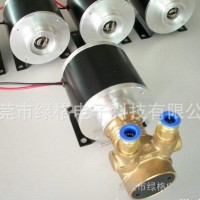长期供应绿格24W高流量工程塑料高压水泵高压泵