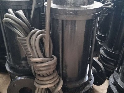 潜水式潜污泵 污水泵厂家 QW型自耦式潜污泵图1