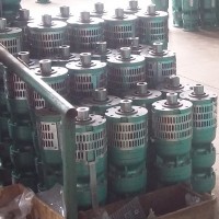 不锈钢潜水泵家用抽水泵污水泵抽粪排污泵不锈钢污水泵价格