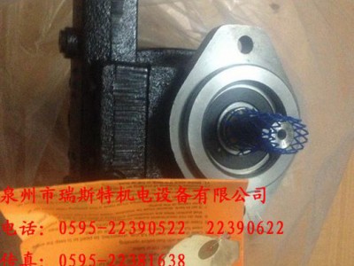 高压泵图1