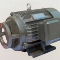 CY14-1B柱塞泵配套电机