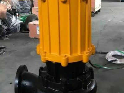 淳特 wq潜水排污泵   YW液下式排污泵   立式液下排污泵   排污泵图1