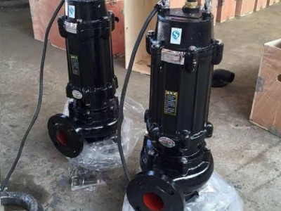 久发 无堵塞排污泵 大流量排污泵 工程用排污泵  潜水式排污泵图1