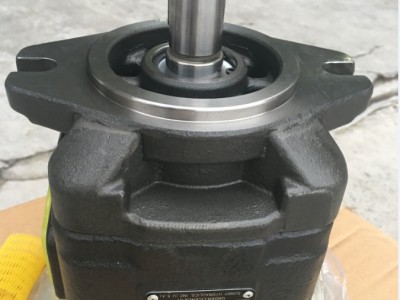 HG0-20-01R-VSC高压泵