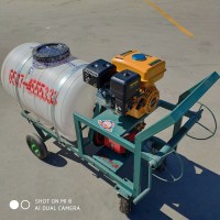 高压喷雾器 农用高压泵喷雾器 大棚蔬菜喷药机