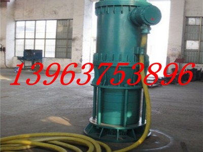 圣诞潜水污水泵  BQS系列污水泵    BQS15-70-图1