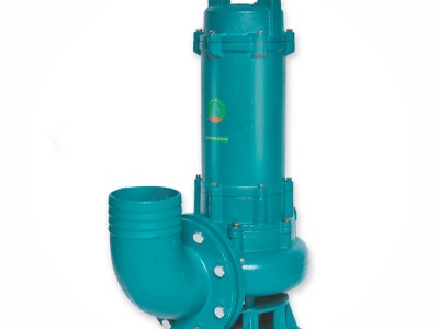 六合GSWQ 排污泵立式污水泵工程项目污水提升泵国标铜线
