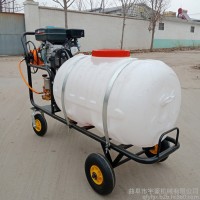 手推式打药机  汽油动力三轮自走式打药机 农用高压泵打药机