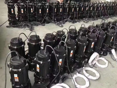 防爆.  排污泵 防爆排污防爆排污泵图1