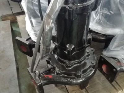博利源PS50-0.75-2P 潜水式污水泵图1