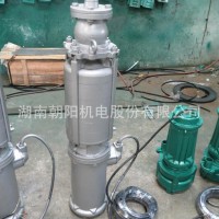 切割式污水泵,南平污水泵厂家