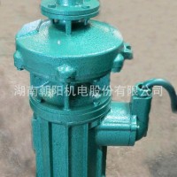 福建立式污水泵价格,JYWQ40-20-5.5污水泵
