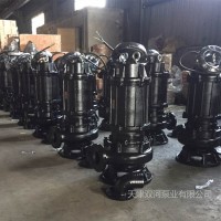 供应WQ系列潜水排污泵-城建排污泵-防汛泵-潜水排污泵厂家