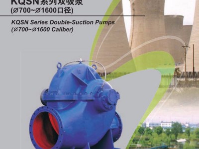 青海西宁灌溉污水双吸泵卧式清水离心泵大流量抽水机高压水泵 灌溉污水泵