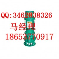 上海安立泰BQ100-1020/12-630/W-S矿用泵 排沙排污潜水电泵 污水泵