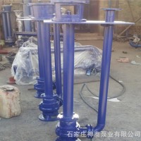 立式污水泵 单相 WDL/WGL/NWL系列立杆污水泵 液下