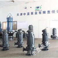 大流量废水排污泵型号 污水排污泵厂家 大流量排污泵