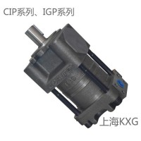 内啮合齿轮泵IGP4-H25F系列产品上海直销 cosure齿轮泵现货销售
