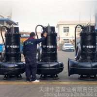 天津潜水排污泵、中蓝泵业、天津潜水排污泵厂家
