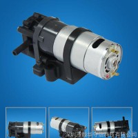微型齿轮泵直流齿轮泵C512-3200