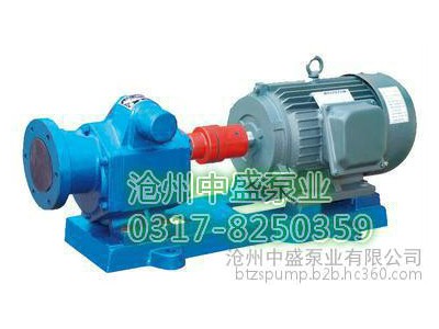 GZB8/0.8(GZB12/0.6)高真空齿轮泵,分子蒸馏齿轮泵,短程蒸馏齿轮泵,沧州中盛泵业研发图1