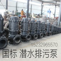 润泉WQ排污泵用于工厂城市污水处理排水系统市政工程建筑工地农村沼气农田灌溉