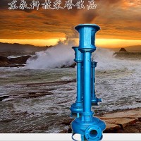 山东东泵泵业直销山西DYWS泥浆泵50-8液下泥浆泵污水泵**现