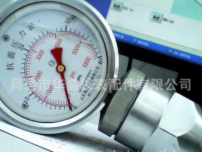 生产泥浆泵专用yk100抗震压力表              如图