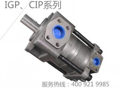 内啮合齿轮泵COSURECIP-A-H-012R-1-I