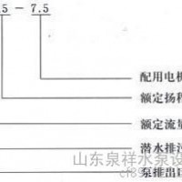 全铸造不锈钢潜水排污泵