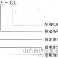 全铸造不锈钢潜水排污泵