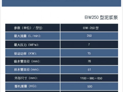 BW250型泥浆泵** 电动高压往复泵 卧式双缸活塞式砂浆泵