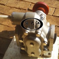 供应WJY新型外润滑不锈钢齿轮泵不锈钢齿轮泵 WJY新型外润滑不锈钢齿轮泵