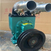 大源YHCB80-60圆弧齿轮泵  车载圆弧齿轮泵 卸车泵