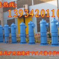 宿迁盐城BQS400-60-132/N港口排沙泥浆泵排污泵