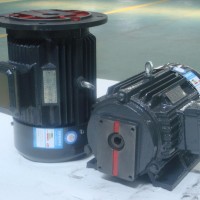 供应CBN齿轮泵配套电机江苏双菊电机 泵用电动机