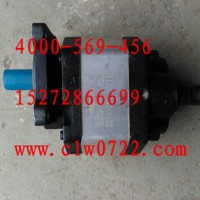 包邮程力威楚胜新中绿 垃圾车 高空作业车20 50 63 80液压齿轮泵