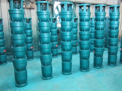 龙事达泵业 潜水泵规范 浙江潜水轴流泵 潜水轴流泵参数 高压潜水轴流泵图1