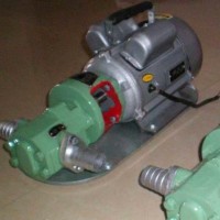 宇硕WCB-50 厂家常年生产各种齿轮泵现货销售