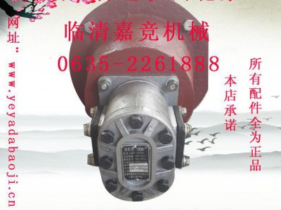 压力泵家用齿轮泵 液压打包机齿轮泵 CBT-E5509液压泵