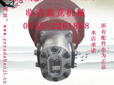 压力泵家用齿轮泵 液压打包机齿轮泵 CBT-E5509液压泵
