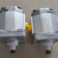 Danfoss/丹佛斯 TUROLLA电厂磨煤机用齿轮泵SNP2NN/