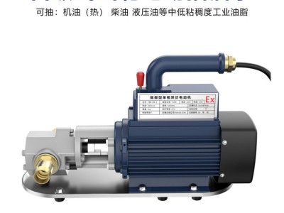 妮慕220V380V电动抽油泵自吸不锈钢齿轮泵高粘稠度机油食物油泵