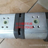 泵车配件 齿轮泵