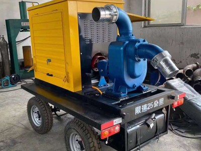 柴油泵车 农用灌溉大流量柴油机轴流泵 耐腐蚀立式抽水排洪轴流水泵厂家图1