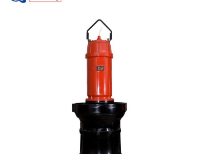 丰球QZ型潜水轴流泵潜水泵农业水泵