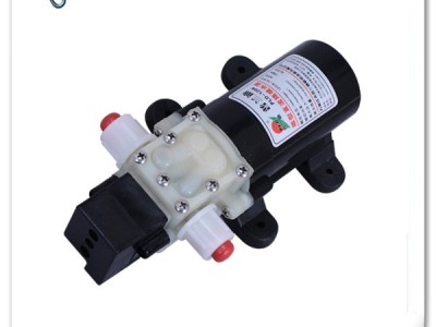 供应微型水泵自吸泵，微型隔膜水泵，小型水泵