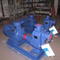 供应创新80ZX50-25卧式自吸泵生产厂家清水自吸泵型号自吸式离心泵