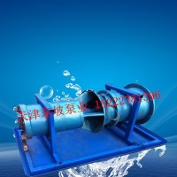 天津东坡潜水轴流泵选型报价简易安装汛期排水中吸轴流泵